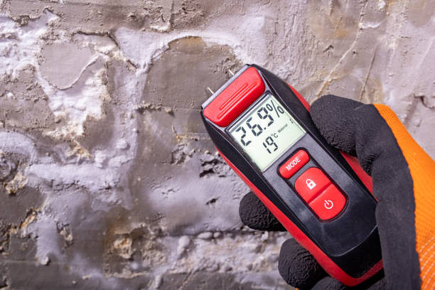 Best Commercial Mold Removal  in Lake Shore, WA